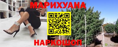 крисы Пенза