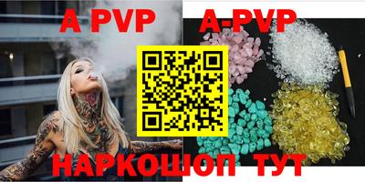 крисы Пенза