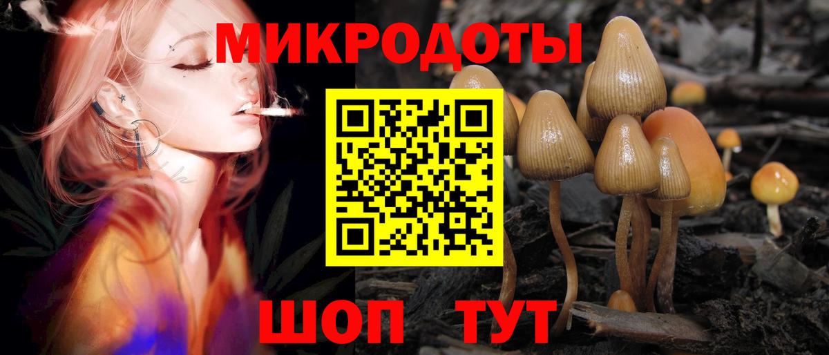 Псилоцибиновые грибы MAGIC MUSHROOMS  Вход с VPN  Тамбов  Галлюциногенные грибы мухоморы 