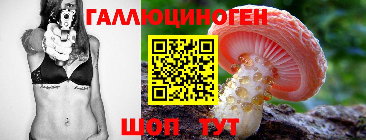 Галлюциногенные грибы Cubensis Тамбов
